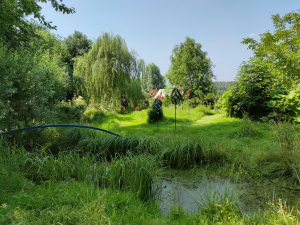 Garden/Images/ResizedWidth//point 030_mid brook blue bridge_garden.jpg