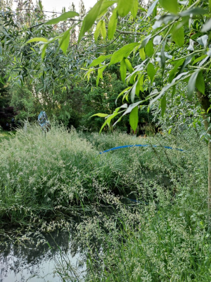 Garden/Images/ResizedWidth//point 030_mid brook_garden_blue bridge.jpg