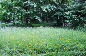 Garden/Images/ResizedWidth//point 070_isle of dreams_garden_overview.jpg