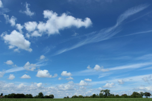 Garden/Images/ResizedWidth//point 085_triangle prairy_garden_skies.jpg