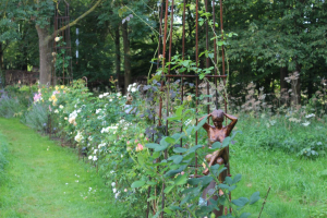 Garden/Images/ResizedWidth//point 100_rose hedge_garden_dreaming spires.jpg